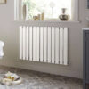 Radiators - Image 3